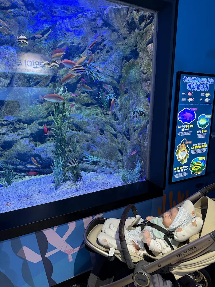 A baby in a stroller watching tropical fish at Aqua Planet Ilsan aquarium