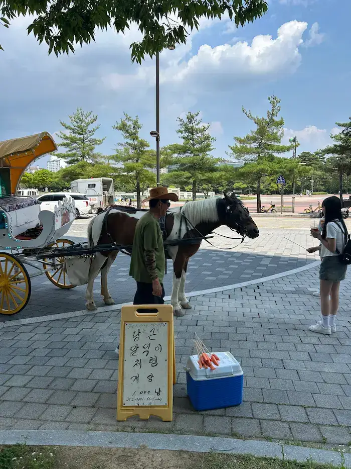 Horse carriage and pony experience outside Aqua Planet Ilsan in Goyang, South Korea