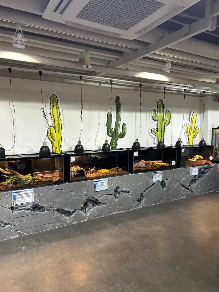 Reptile exhibition area inside Aqua Planet Ilsan aquarium