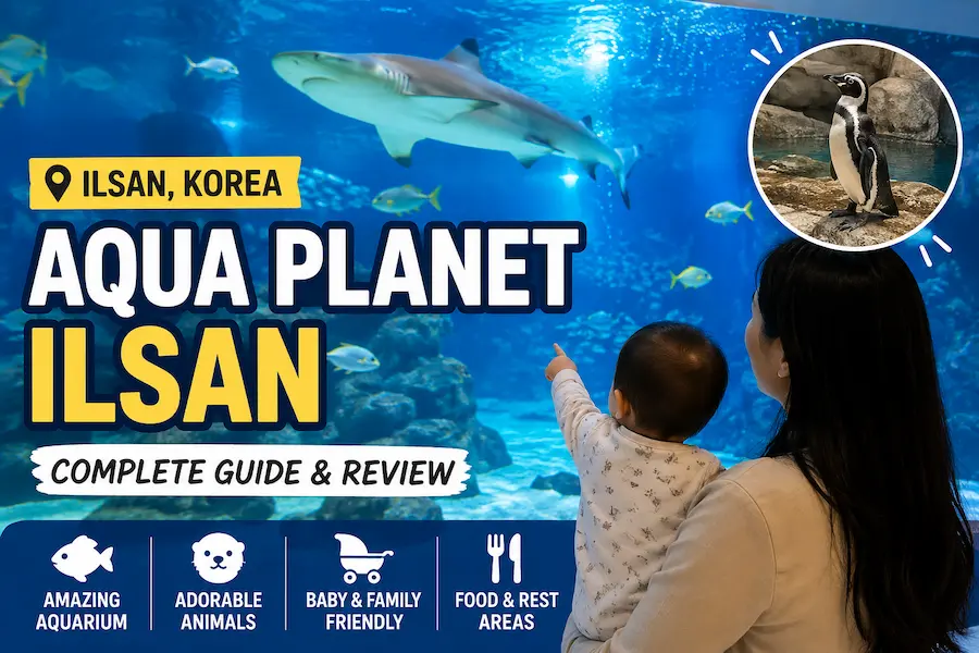 Aqua Planet Ilsan family review with baby watching sharks and marine life in Korea