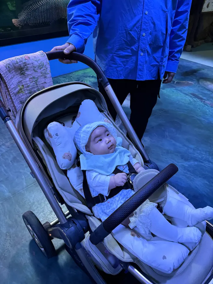A baby in a stroller visiting Aqua Planet Ilsan aquarium in Goyang, South Korea