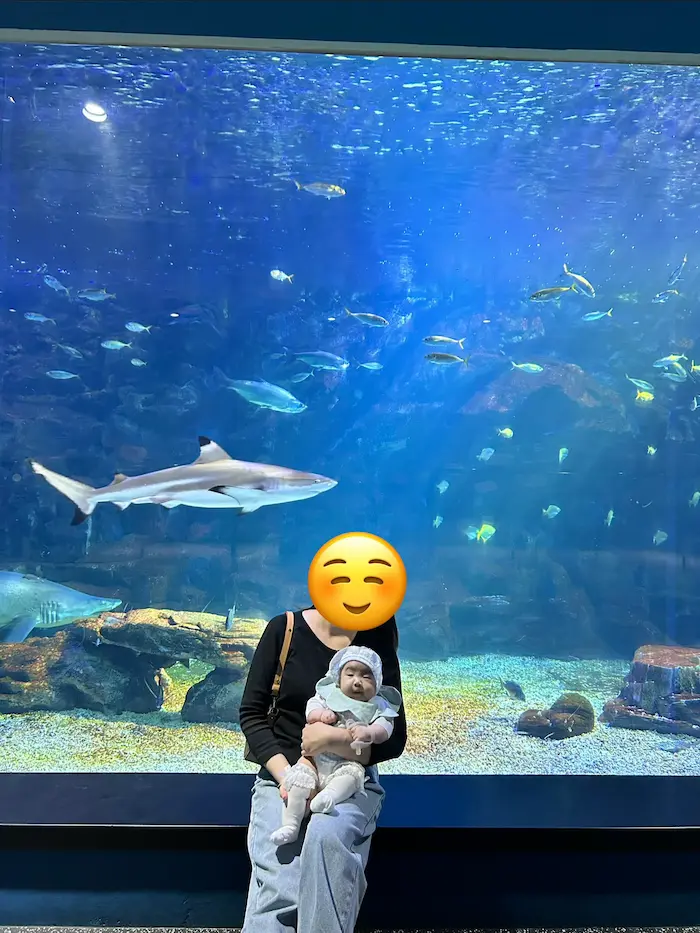 A baby posing in front of a shark tank at Aqua Planet Ilsan aquarium