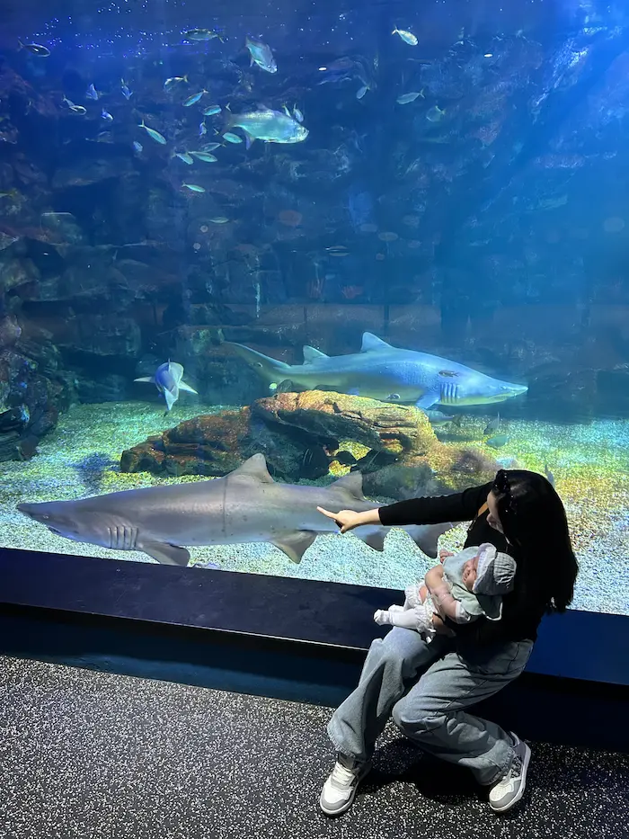 A family visiting the shark exhibit at Aqua Planet Ilsan aquarium