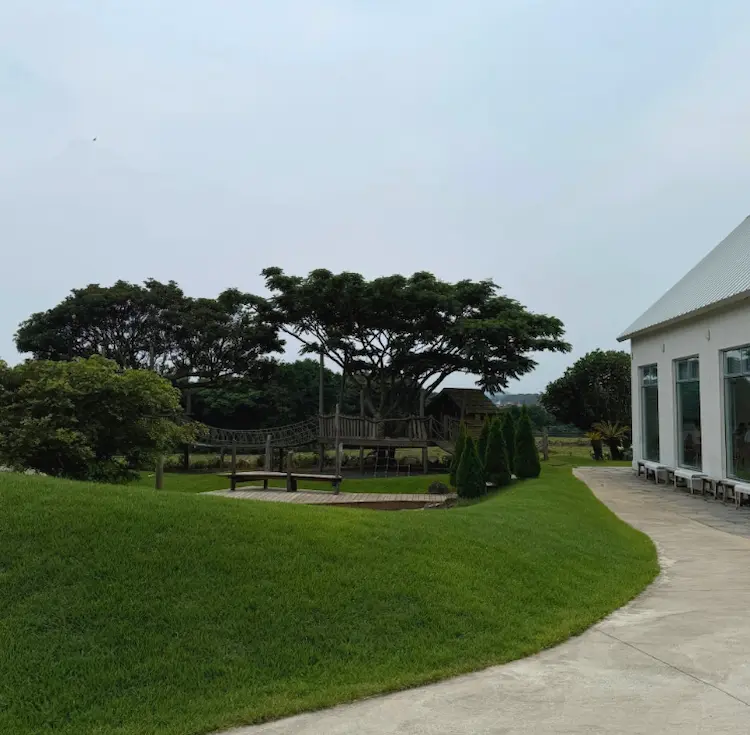 Garden and children's playground at Alps Jeju Cafe